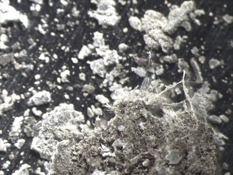 Analyse échantillon contenant amiante crocidolite et Chrysotile