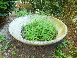 jardinières en fibrociment - cbconseil