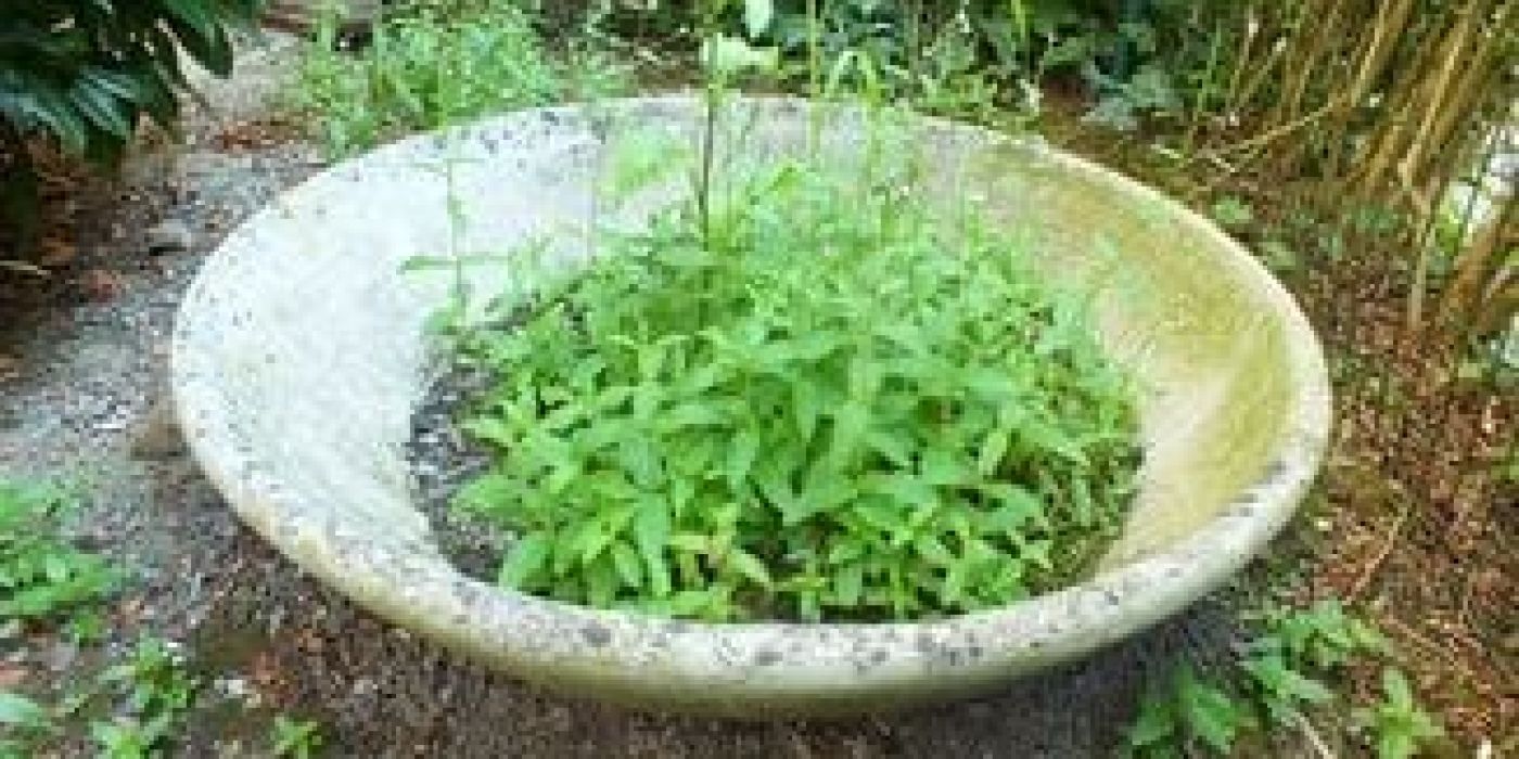 jardini&egrave;res en fibrociment - cbconseil